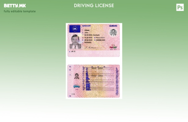 Модерен стил Данска DL шаблон